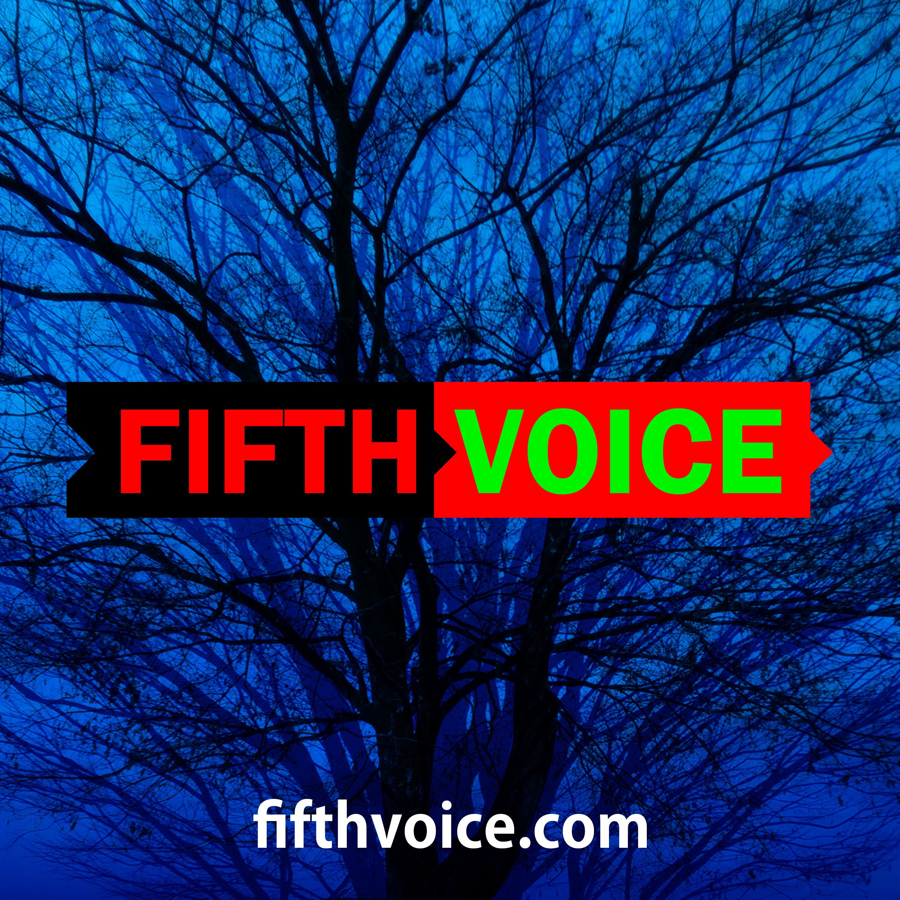 Voice five