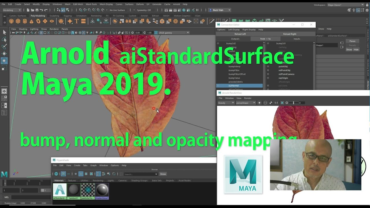 Arnold aiStandardSurface Bump, Normal and Opacity mapping settings on Maya 2019.